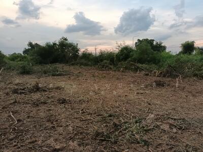 ขาย - ขายที่ดินเปล่า ขนาด 334 ตร.วา ต.หนองโน อ.เมือง จ.สระบุรี, สระบุรี
