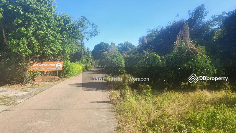 For Sale - Mangosteen orchard has harvested its produce. For Sale size 3-1-51 Rai, Rayong