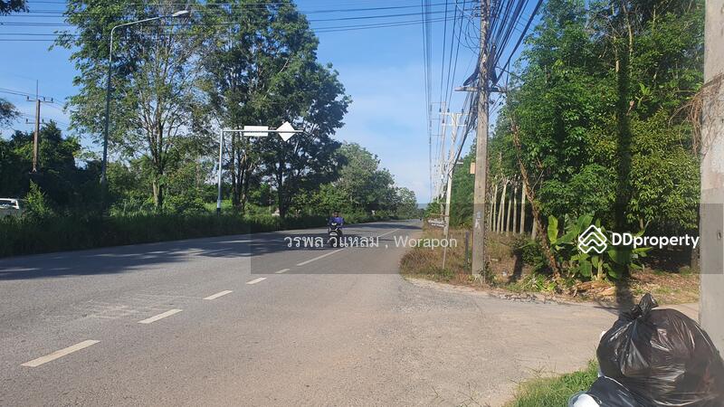 For Sale - Mangosteen orchard has harvested its produce. For Sale size 3-1-51 Rai, Rayong