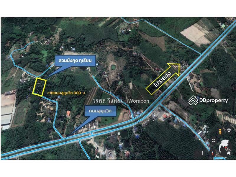 For Sale - Mangosteen orchard has harvested its produce. For Sale size 3-1-51 Rai, Rayong