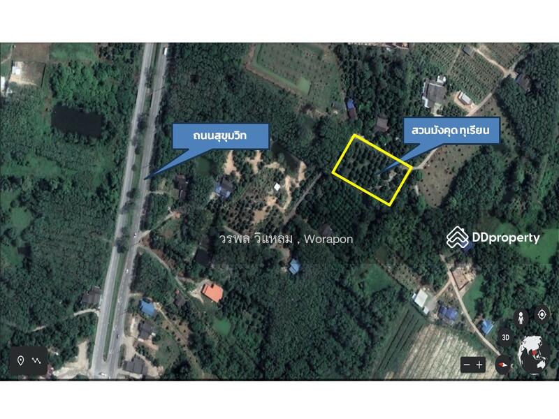 For Sale - Mangosteen orchard has harvested its produce. For Sale size 3-1-51 Rai, Rayong