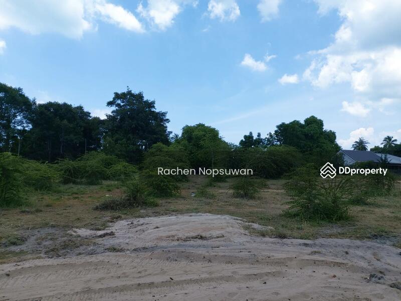 ขาย - ที่ดิน ต.เขาลูกช้าง สงขลา, สงขลา
