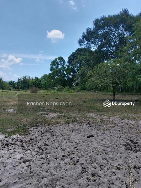 ขาย - ที่ดิน ต.เขาลูกช้าง สงขลา, สงขลา