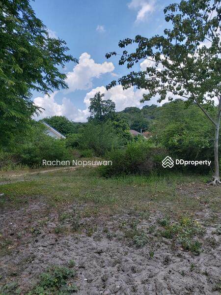 ขาย - ที่ดิน ต.เขาลูกช้าง สงขลา, สงขลา