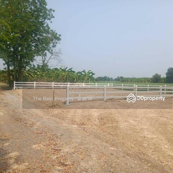ขาย - ที่ดินบ้านยาง นครปฐม, นครปฐม