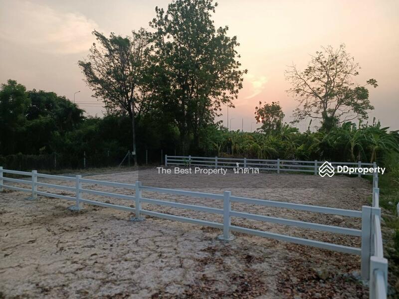 ขาย - ที่ดินบ้านยาง นครปฐม, นครปฐม