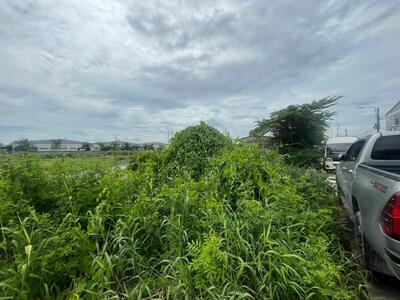 ขาย - ขายด่วนมากที่ดิน 375 ตรว. ผังสีม่วงฯ ซ.เทศบาลบางปู 71 ราคาต่ำกว่าตลาด, สมุทรปราการ