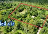 LSS-605 ซ.ชัยเจริญ 8 ต.โนนสูง อ.เมือง จ.อุดรธานี : Non Soong Subdistrict, - DDproperty.com