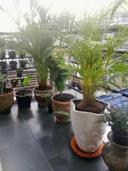 ขาย - Floraville Park Home @ Srinakarin-Kanchanapisek : ฟลอราวิลล์ พาร์ค โฮม @ ศรีนครินทร์-กาญจนา, สมุทรปราการ