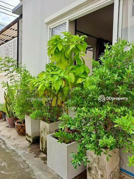 ขาย - Floraville Park Home @ Srinakarin-Kanchanapisek : ฟลอราวิลล์ พาร์ค โฮม @ ศรีนครินทร์-กาญจนา, สมุทรปราการ
