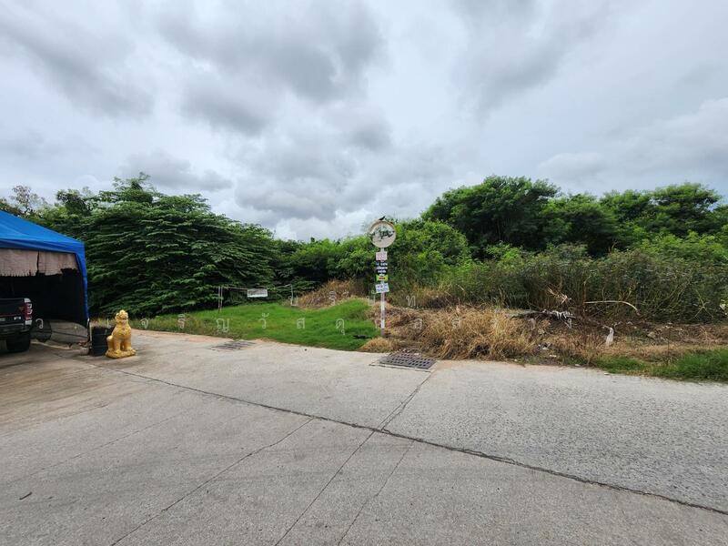 ขายที่ดินพัทยา 12 ไร่ ถนนทัพพะยาซอย15ใกล้ทะเลเขาพระตำหนักเหมาะโครงการโรงแรม รีสอร์ท พูลวิลล่ามีระดับ, Chon Buri (Pattaya), ทัพพะยา ซอย 15, Nong Pru, Bang Lamung (Pattaya), Chon Buri (Pattaya), , 19,200 sqm, Land For Sale, by Khun Big, 11573757 - DDproperty.com