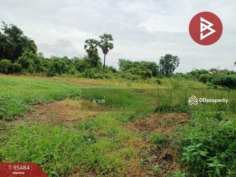 For Sale - ที่ดินศรีเทพ เพชรบูรณ์, Phetchabun