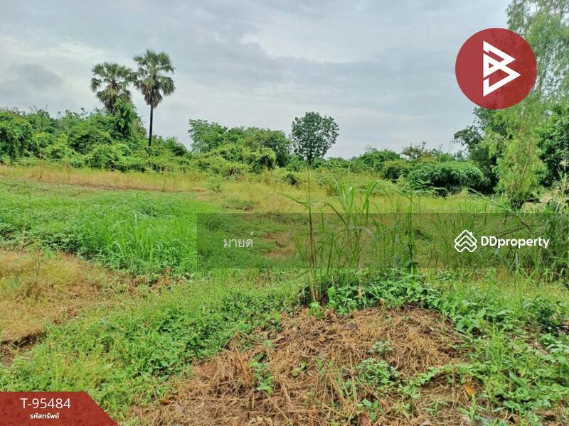 For Sale - ที่ดินศรีเทพ เพชรบูรณ์, Phetchabun