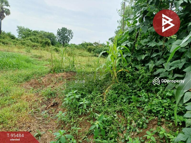 For Sale - ที่ดินศรีเทพ เพชรบูรณ์, Phetchabun