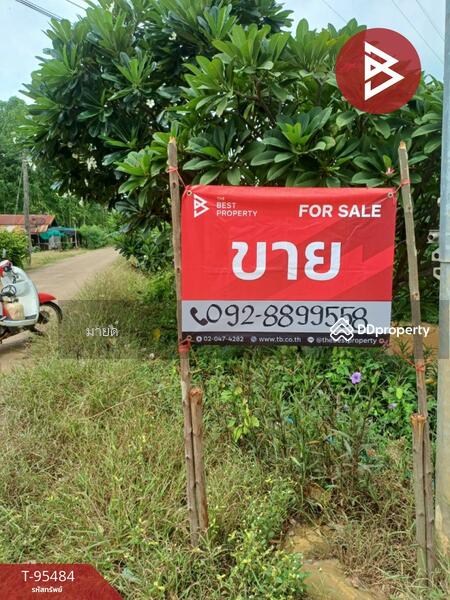 For Sale - ที่ดินศรีเทพ เพชรบูรณ์, Phetchabun