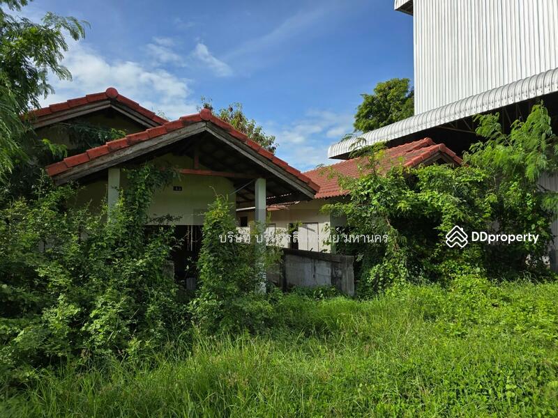 For Sale - Warehouse in Srikhonphum district, Surin province. 3-1-58 Rai, Surin