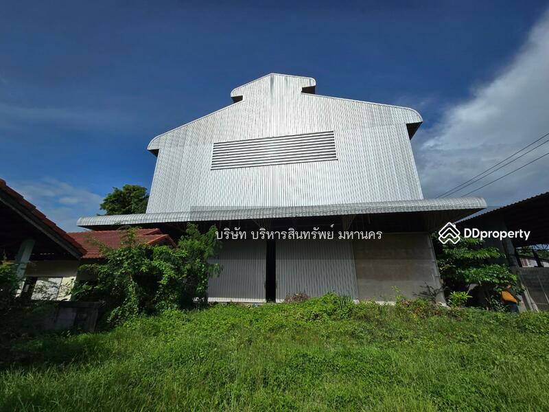 For Sale - Warehouse in Srikhonphum district, Surin province. 3-1-58 Rai, Surin