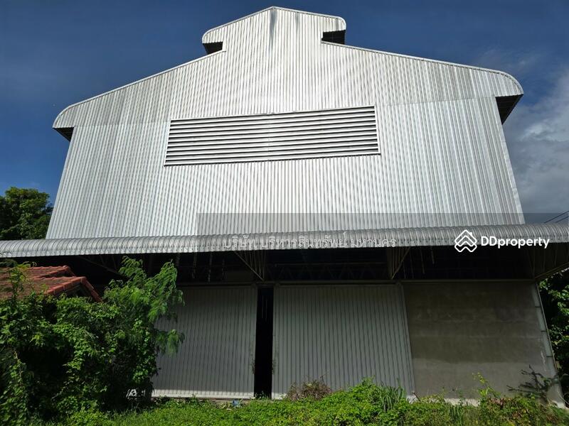 For Sale - Warehouse in Srikhonphum district, Surin province. 3-1-58 Rai, Surin