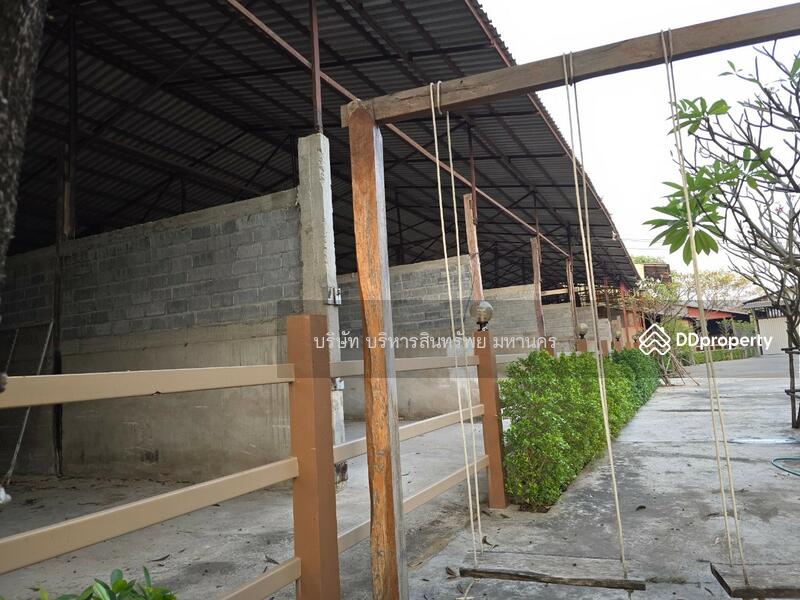 For Sale - Warehouse in Srikhonphum district, Surin province. 3-1-58 Rai, Surin