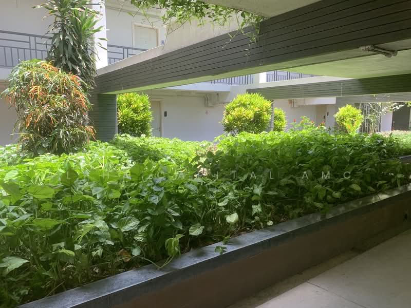 M Society Condominium, Building C, 4th FL. Tiwanon-Pak Kret 36, Pak Kret, NONTHABURI ZA_158_G02, Nonthaburi, 120/742 ติวานนท์-ปากเกร็ด 36, Bang Phut, Pak Kret, Nonthaburi, 1 Bedroom, 62 sqm, Condo For Sale, by วารุณี จำรูญนุรักษ์, 11576463 - DDproperty.com
