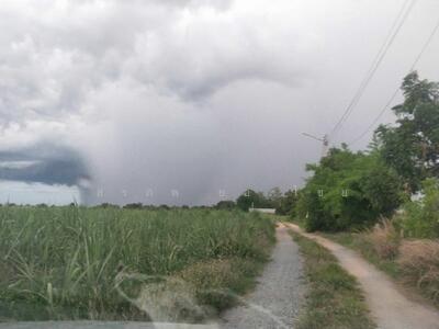 ขาย - ขาย ที่ดิน 50 ไร่ 13 ตารางวา ถนนทางเข้าพื้นที่กว้าง ต.พลับพลาไชย อ.อู่ทอง จ.สุพรรณบุรี, สุพรรณบุรี