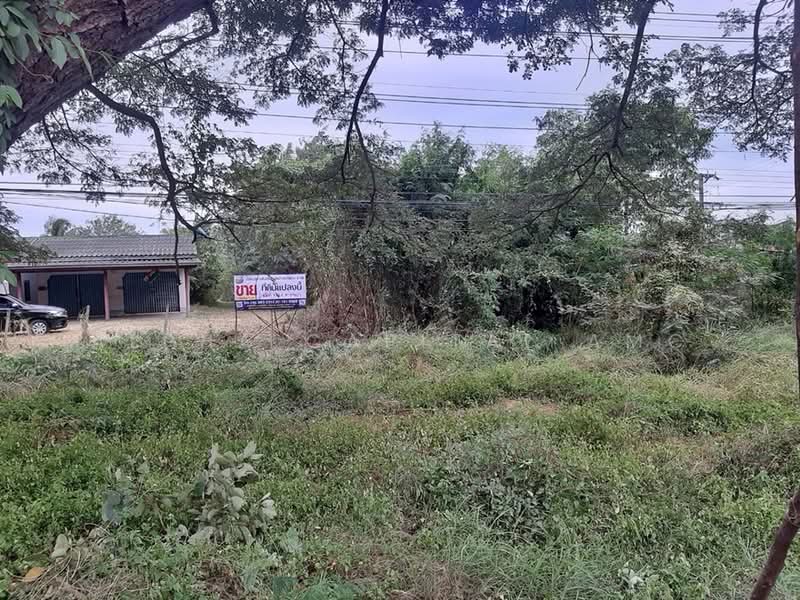 For Sale - Sale Vacant Land L4_5_0387_G01, Prachuap Khiri Khan
