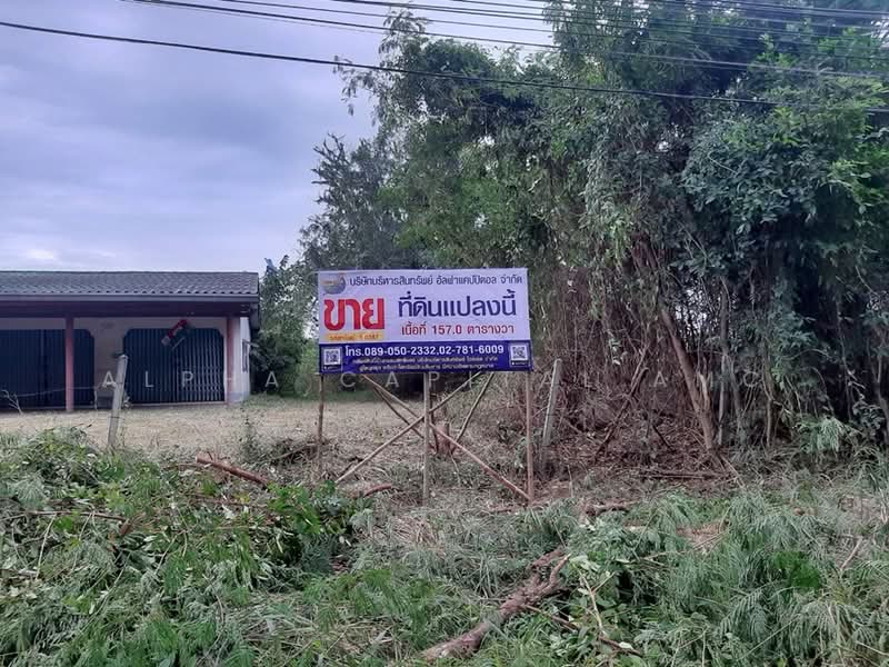 ขาย - ขายที่ดิน L4_5_0387_G01, ประจวบคีรีขันธ์