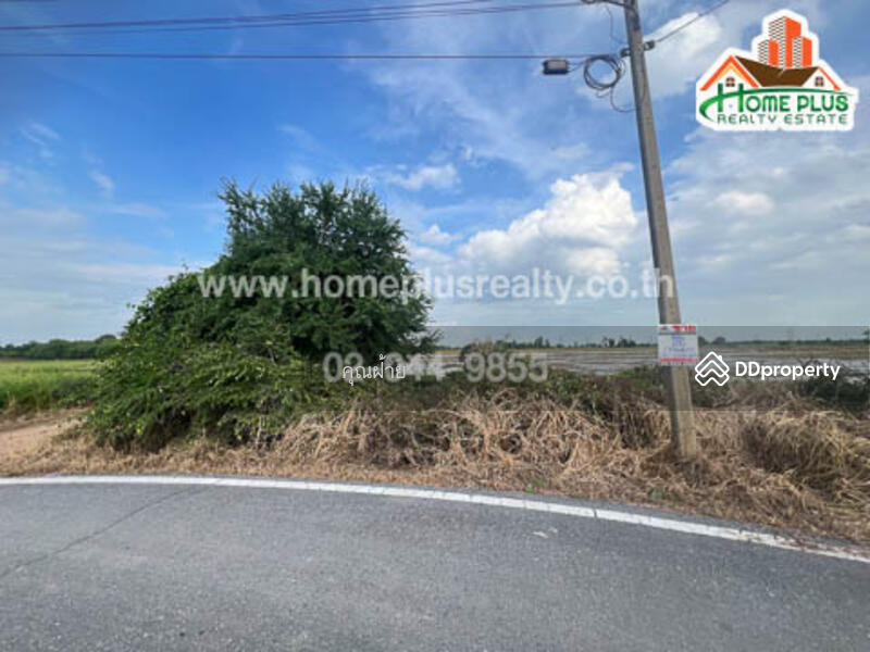 For Sale - 14110, Ang Thong