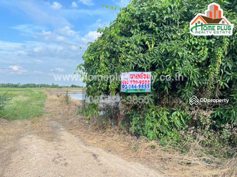 For Sale - 14110, Ang Thong