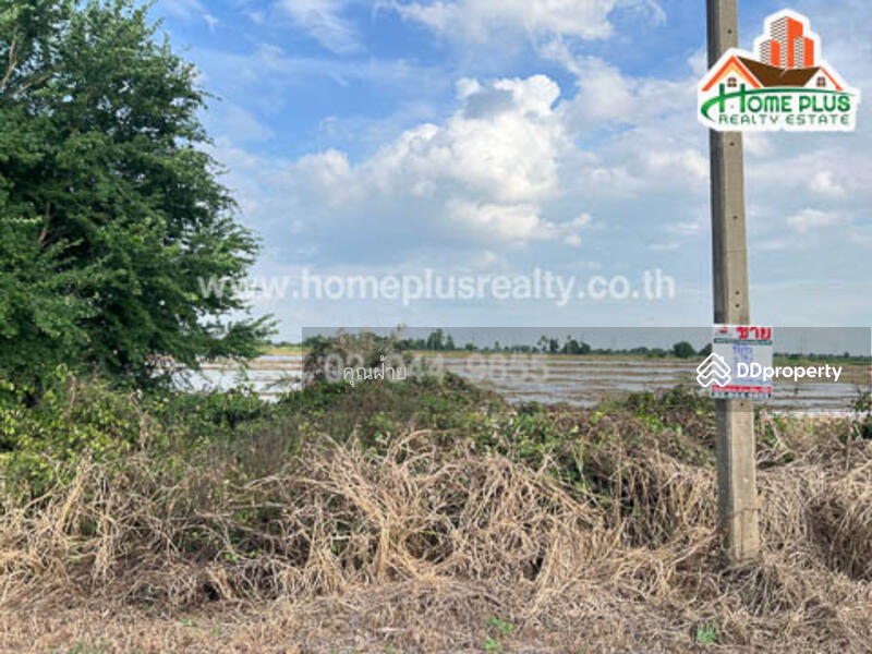 For Sale - 14110, Ang Thong