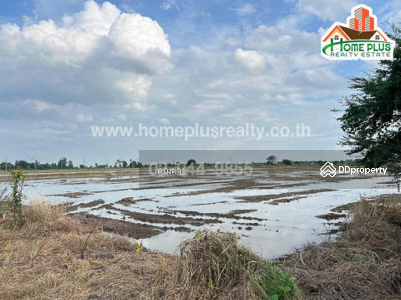 ขาย - 14110, อ่างทอง