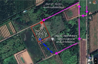 ขาย - ขายที่ดิน 5 ไร่ คลอง11 อ.หนองเสือ จ.ปทุมธานี, ปทุมธานี
