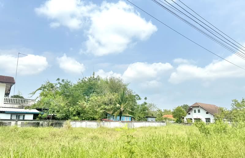 ที่ดินสวนตาล, นครปฐม, Sisa Thong Subdistrict, ศรีษะทอง, นครชัยศรี, นครปฐม, 200 ตร.ม., ที่ดิน ขาย, โดย เพชรรัตน์ มณีนุษย์, 11582204 - DDproperty.com