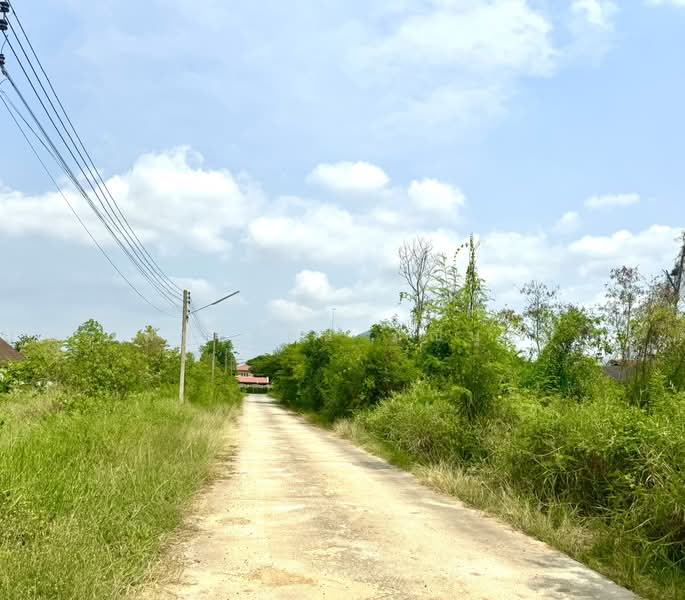 Suan Tan Village, Nakhon Pathom, Sisa Thong Subdistrict, Srisathong, Nakhon Chai Sri, Nakhon Pathom, , 200 sqm, Land For Sale, by เพชรรัตน์ มณีนุษย์, 11582204 - DDproperty.com