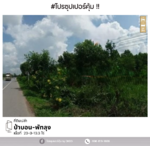 ที่ดินถนนเพชรเกษม ป่าบอน, พัทลุง, พัทลุง