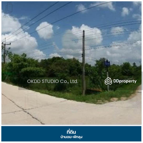 ขาย - ที่ดินถนนเพชรเกษม ป่าบอน, พัทลุง, พัทลุง