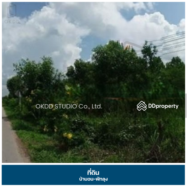 ขาย - ที่ดินถนนเพชรเกษม ป่าบอน, พัทลุง, พัทลุง