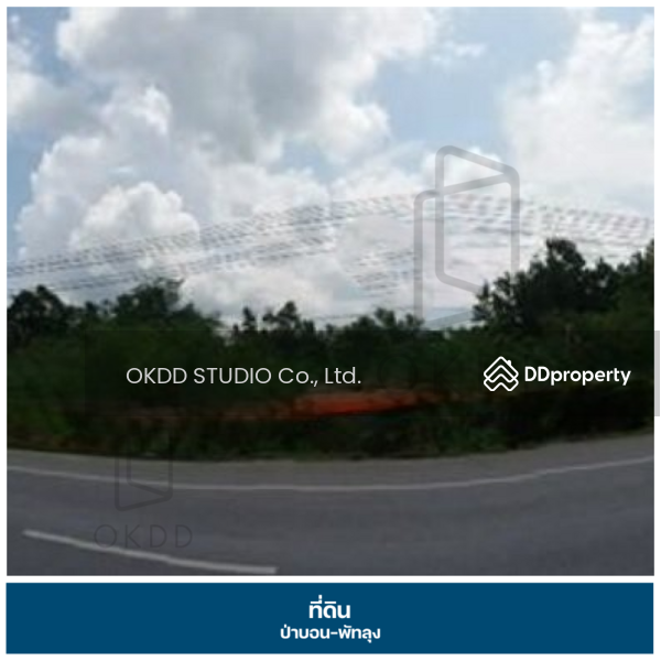 ขาย - ที่ดินถนนเพชรเกษม ป่าบอน, พัทลุง, พัทลุง