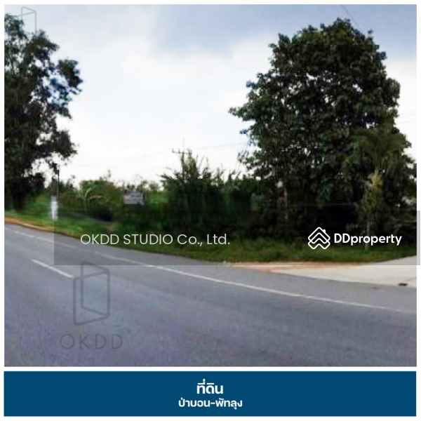 ขาย - ที่ดินถนนเพชรเกษม ป่าบอน, พัทลุง, พัทลุง