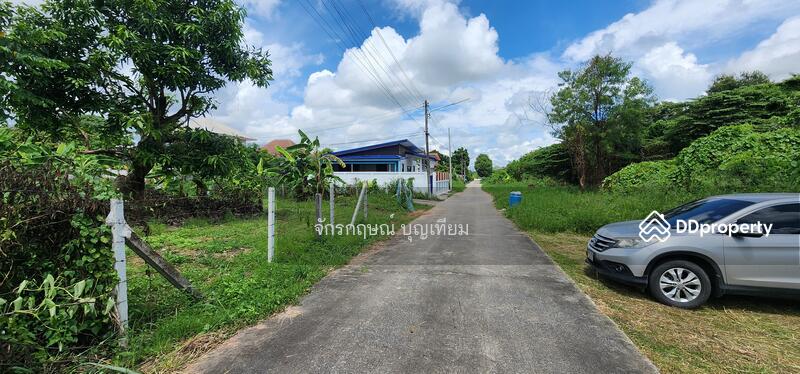 ขาย - ขายที่ดินหนองไผ่ ศิลา เมืองขอนแก่น 168 ตารางวา, ขอนแก่น