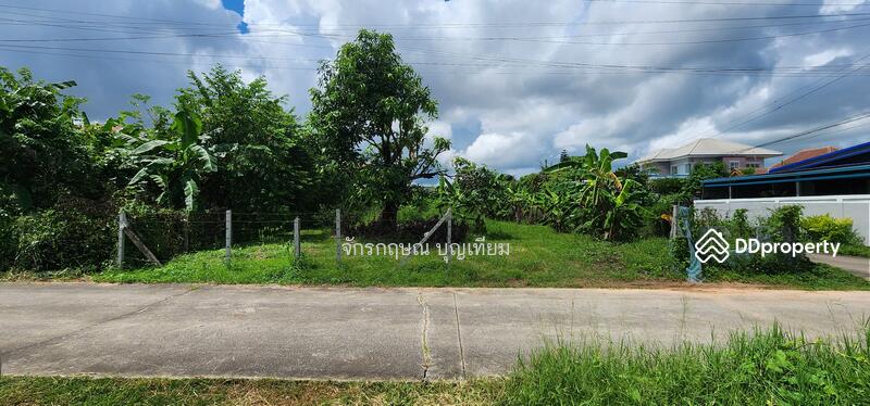 ขาย - ขายที่ดินหนองไผ่ ศิลา เมืองขอนแก่น 168 ตารางวา, ขอนแก่น