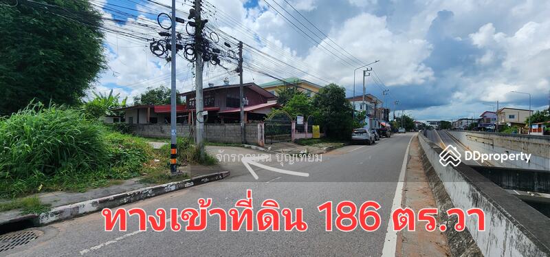 ขาย - ขายที่ดินหนองไผ่ ศิลา เมืองขอนแก่น 168 ตารางวา, ขอนแก่น