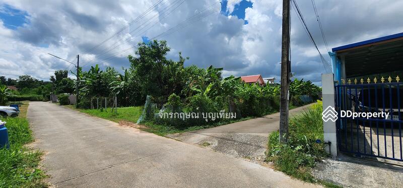 ขาย - ขายที่ดินหนองไผ่ ศิลา เมืองขอนแก่น 168 ตารางวา, ขอนแก่น