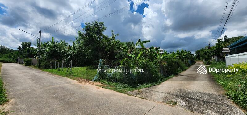 ขาย - ขายที่ดินหนองไผ่ ศิลา เมืองขอนแก่น 168 ตารางวา, ขอนแก่น
