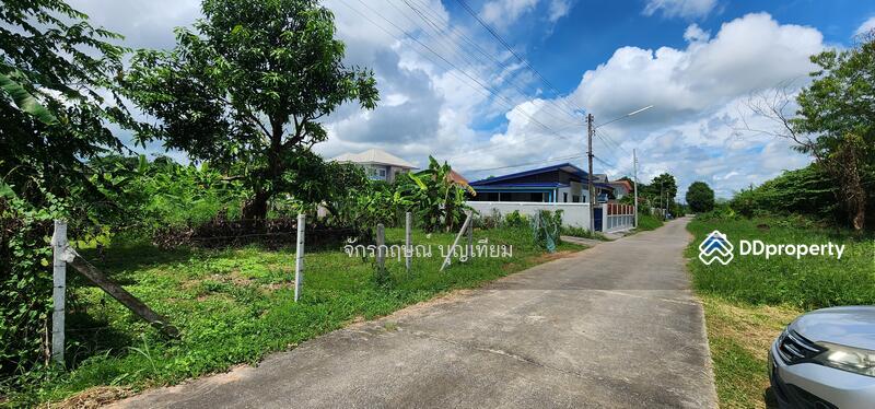 ขาย - ขายที่ดินหนองไผ่ ศิลา เมืองขอนแก่น 168 ตารางวา, ขอนแก่น