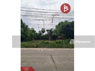 ขาย - ที่ดินชะอำ เพชรบุรี, เพชรบุรี
