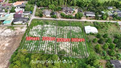 ขาย - ถูกที่สุดในโซน! ที่ดินแปลงสวย ระยอง ตร.ว.ละ 5,500 บาท ใกล้หาดแม่รำพึงและสุขุมวิทเพียง 250 เมตร, ระยอง