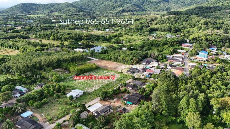 Land for sale (filled land), subdivided into 4 plots, each approximately 300 sq.wah,, Rayong, Phe, Muang Rayong, Rayong, , 1,200 sqm, Land For Sale, by สุเทพ พสุวณิชย์กุล, 11583981 - DDproperty.com