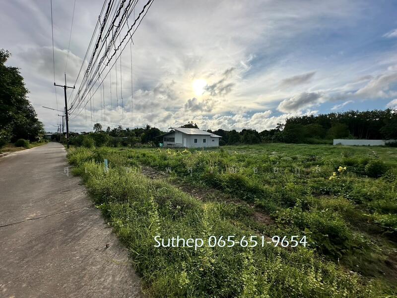 Land for sale (filled land), subdivided into 4 plots, each approximately 300 sq.wah,, Rayong, Phe, Muang Rayong, Rayong, , 1,200 sqm, Land For Sale, by สุเทพ พสุวณิชย์กุล, 11583981 - DDproperty.com