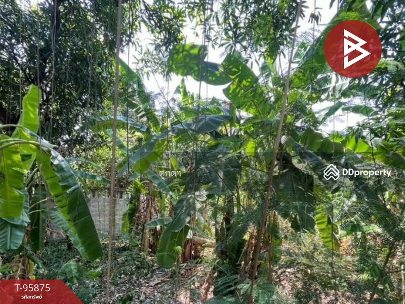 ขาย - ที่ดินวังทองหลาง กรุงเทพมหานคร, กรุงเทพ
